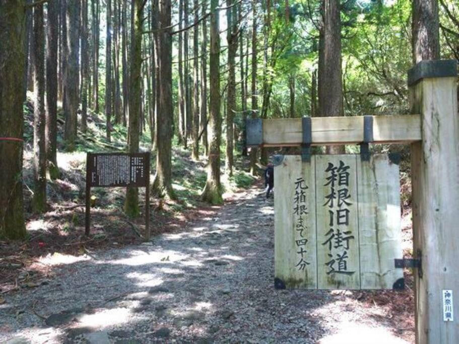 Villa Ek House Hakone Shushinso 箱根修身荘 Exterior foto