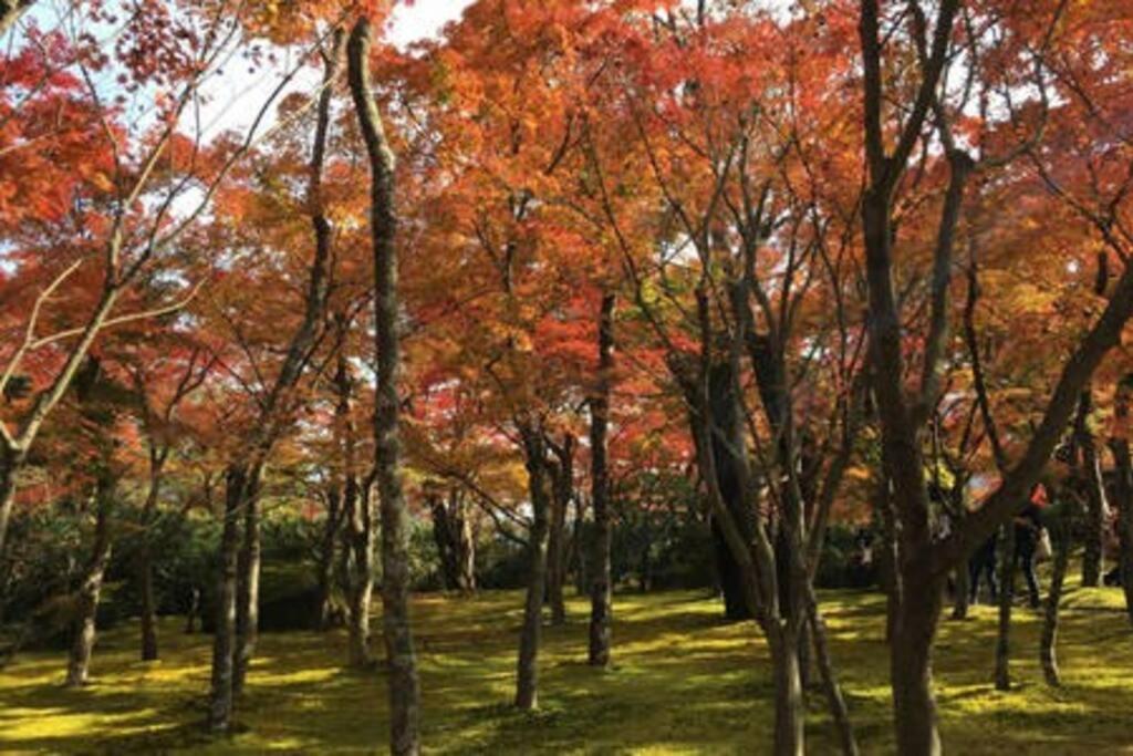 Villa Ek House Hakone Shushinso 箱根修身荘 Exterior foto